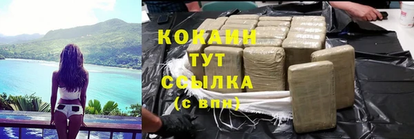 дживик Абинск