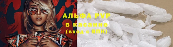 PSILOCYBIN Абдулино