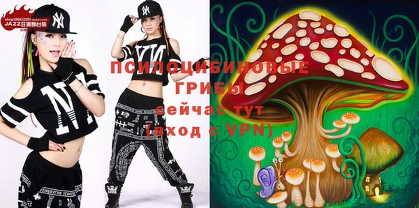 PSILOCYBIN Абдулино