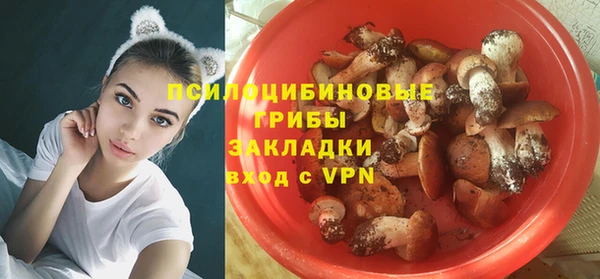 дживик Абинск