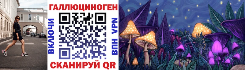 Галлюциногенные грибы прущие грибы  Никольское 